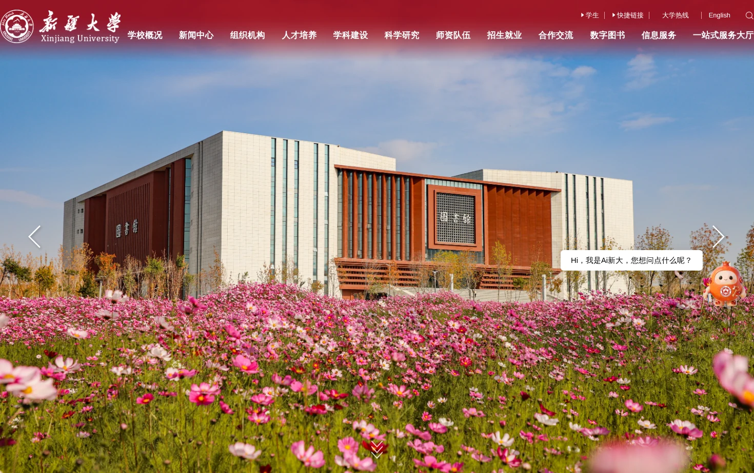 新疆大学 页面快照